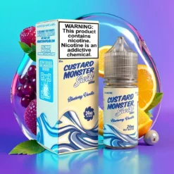 Borůvka Vanilka Custard Monster Swirl Edition 30ml sůl