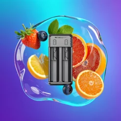 Nitecore UI2 duální nabíječka 800mA