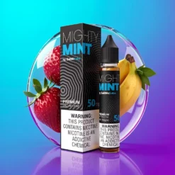 Mátová a zimostrázová žvýkačka VGOD SaltNic 30ml